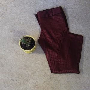NEW WITH TAGS The Limited Drew Fit Dress Pants